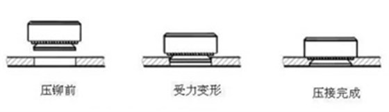 壓鉚螺母壓接過程 壓鉚螺母壓接過程