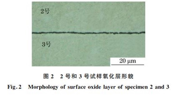 圖2 2號和3號試樣氧化層形貌 圖2 2號和3號試樣氧化層形貌