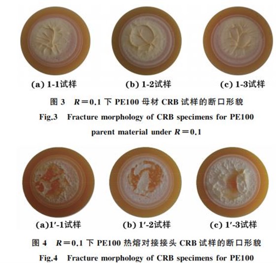 圖4 R=0.1下 PE100熱熔對接接頭 CRB試樣的斷口形貌 圖4 R=0.1下 PE100熱熔對接接頭 CRB試樣的斷口形貌