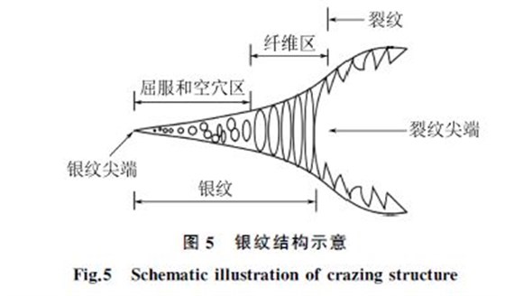 圖5 銀紋結構示意 圖5 銀紋結構示意