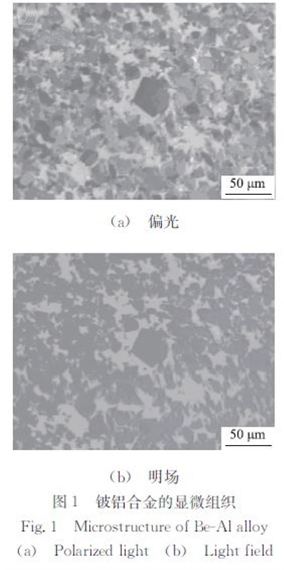 鈸鋁合金的顯微組織 鈸鋁合金的顯微組織