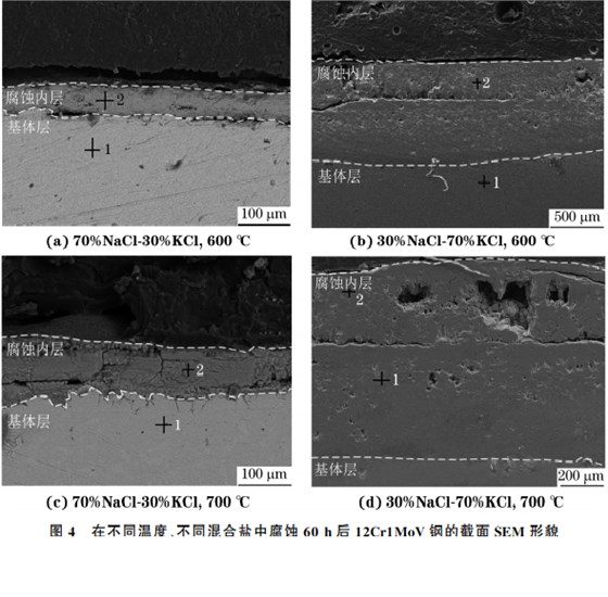在不同溫度、不同混合鹽中腐蝕60h后12Cr1MoV鋼的截面SEM 形貌 在不同溫度、不同混合鹽中腐蝕60h后12Cr1MoV鋼的截面SEM 形貌