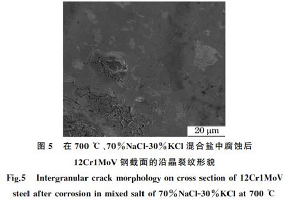 12Cr1MoV鋼截面的沿晶裂紋形貌 12Cr1MoV鋼截面的沿晶裂紋形貌