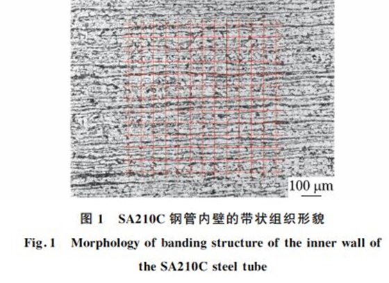 圖1 SA210C鋼管內(nèi)壁的帶狀組織形貌 圖1 SA210C鋼管內(nèi)壁的帶狀組織形貌