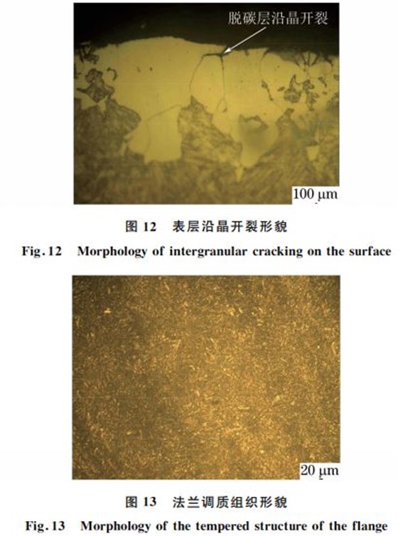 圖12 表層沿晶開裂形貌 圖12 表層沿晶開裂形貌