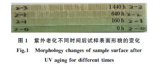圖1 紫外老化不同時間后試樣表面形貌的變化 圖1 紫外老化不同時間后試樣表面形貌的變化