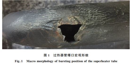 圖1 過熱器管爆口宏觀形貌 圖1 過熱器管爆口宏觀形貌