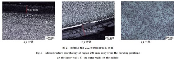 圖4 距爆口200mm 處的顯微組織形貌 圖4 距爆口200mm 處的顯微組織形貌