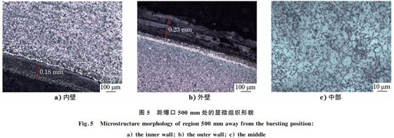 圖5 距爆口500mm 處的顯微組織形貌 圖5 距爆口500mm 處的顯微組織形貌