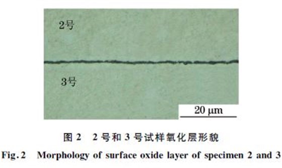 圖2 2號和3號試樣氧化層形貌 圖2 2號和3號試樣氧化層形貌