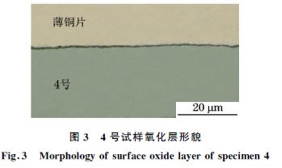 圖3 4號試樣氧化層形貌 圖3 4號試樣氧化層形貌
