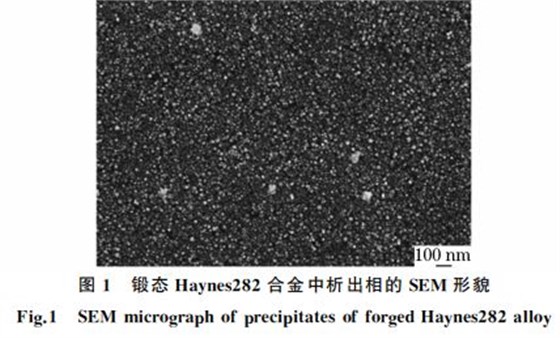 圖1 鍛態 Haynes282合金中析出相的SEM 形貌 圖1 鍛態 Haynes282合金中析出相的SEM 形貌