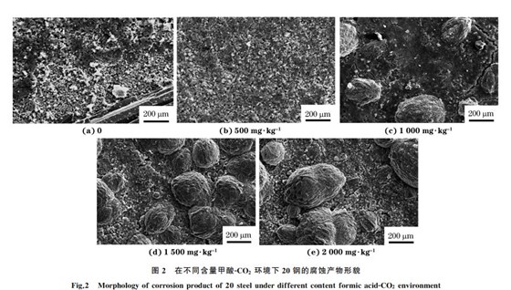 圖2 在不同含量甲酸GCO2 環境下20鋼的腐蝕產物形貌 圖2 在不同含量甲酸GCO2 環境下20鋼的腐蝕產物形貌