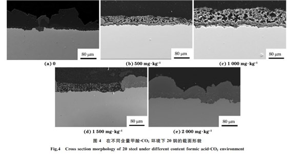 圖4 在不同含量甲酸GCO2 環境下20鋼的截面形貌 圖4 在不同含量甲酸GCO2 環境下20鋼的截面形貌