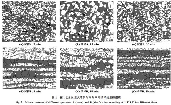 圖2 在1323K 退火不同時間后不同試樣的顯微組織 圖2 在1323K 退火不同時間后不同試樣的顯微組織