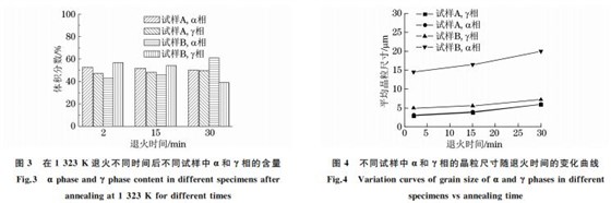 圖3 在1323K 退火不同時間后不同試樣中α和γ相的含量 圖3 在1323K 退火不同時間后不同試樣中α和γ相的含量