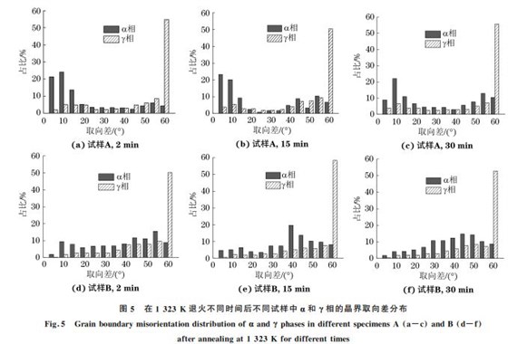 圖5 在1323K 退火不同時間后不同試樣中α和γ相的晶界取向差分布 圖5 在1323K 退火不同時間后不同試樣中α和γ相的晶界取向差分布