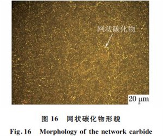 圖16 網狀碳化物形貌 圖16 網狀碳化物形貌