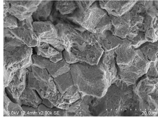 D區微觀地貌 D區微觀地貌