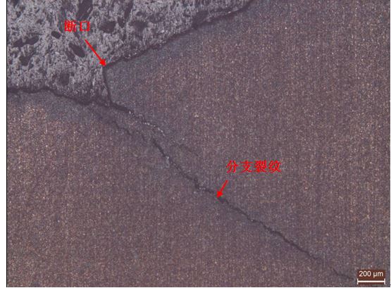 擴展區縱橫截面金相組織