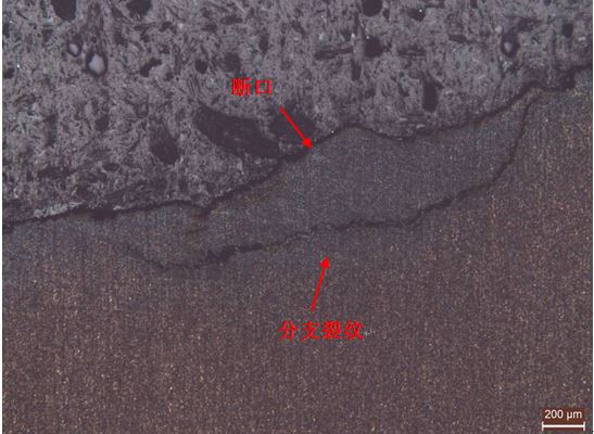 斷裂擴展區縱截面金相組織1 斷裂擴展區縱截面金相組織1