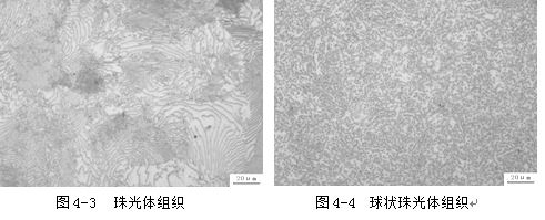 珠光體金相組織 珠光體金相組織