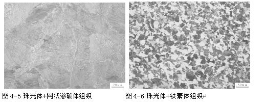 珠光體混合金相組織 珠光體混合金相組織