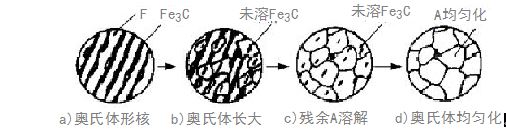 奧氏金相體檢測 奧氏金相體檢測