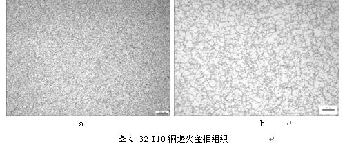 T10鋼退火金相組織 T10鋼退火金相組織
