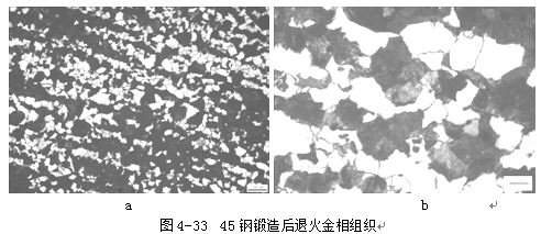 鋼鍛造后退火金相組織 鋼鍛造后退火金相組織