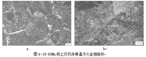 鋼上貝氏體等溫淬火金相組織 鋼上貝氏體等溫淬火金相組織