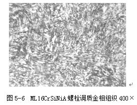 ML16CrSiNiA螺栓調質金相組織400× ML16CrSiNiA螺栓調質金相組織400×