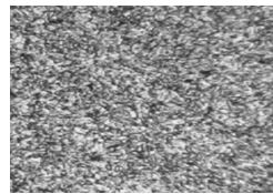 1Cr11Ni2W2MoV原材料金相組織200× 1Cr11Ni2W2MoV原材料金相組織200×