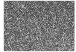 圖5-49 Cr17Ni2原材料金相組織200× 圖5-49 Cr17Ni2原材料金相組織200×