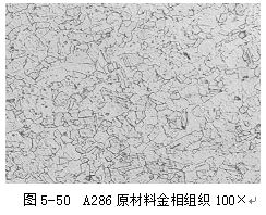 圖5-50 A286原材料金相組織100× 圖5-50 A286原材料金相組織100×