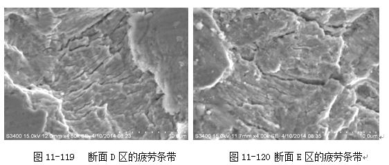 斷面D區的疲勞條帶 斷面D區的疲勞條帶