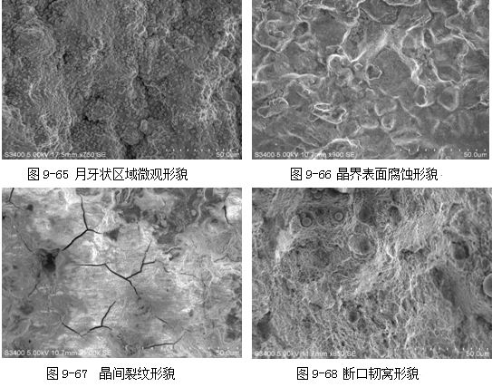圖9-67 晶間裂紋形貌 斷口韌窩形貌 圖9-67 晶間裂紋形貌 斷口韌窩形貌