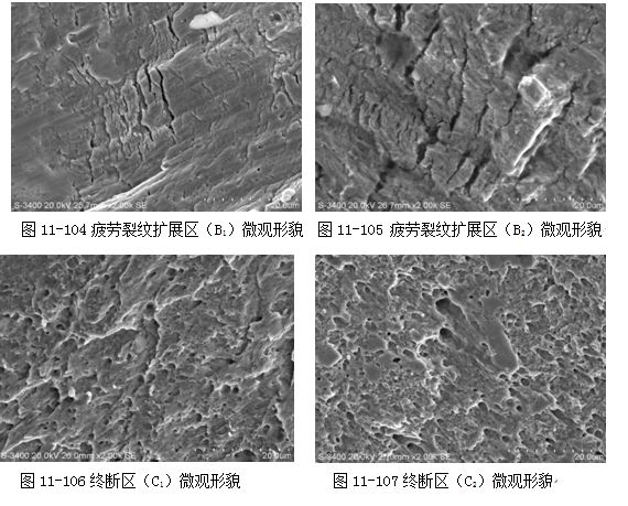 圖11-106終斷區(C1)微觀形貌 圖11-107終斷區(C2)微觀形貌 圖11-106終斷區(C1)微觀形貌 圖11-107終斷區(C2)微觀形貌