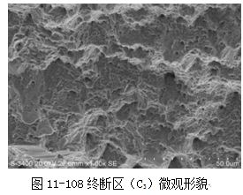 圖11-108終斷區(C3)微觀形貌 圖11-108終斷區(C3)微觀形貌