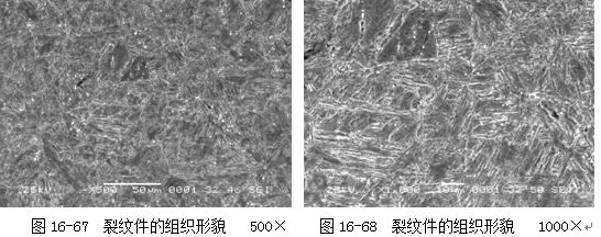 圖16-67 裂紋件的組織形貌 500× 圖16-68 裂紋件的組織形貌 1000× 圖16-67 裂紋件的組織形貌 500× 圖16-68 裂紋件的組織形貌 1000×