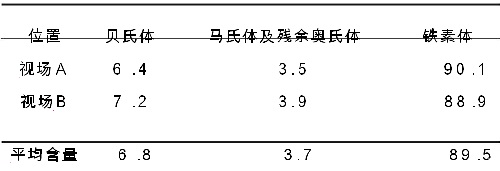 雙相鋼彩色金相顯微組織形貌觀察表 雙相鋼彩色金相顯微組織形貌觀察表