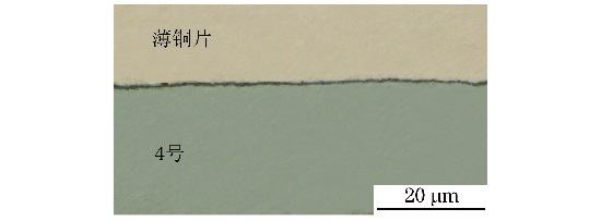 圖2 2號和3號試樣氧化層形貌 圖2 2號和3號試樣氧化層形貌