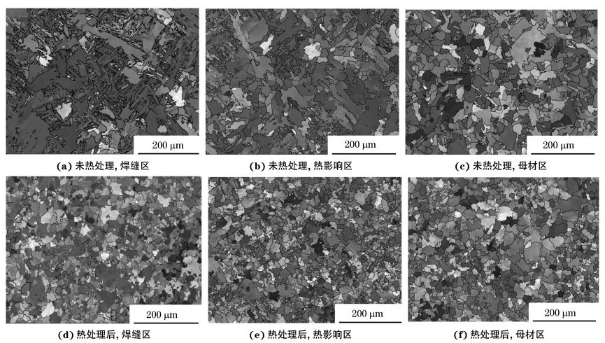圖2 熱處理前后焊接接頭焊縫區(qū)、熱影響區(qū)和母材區(qū)的取向成像圖 圖2 熱處理前后焊接接頭焊縫區(qū)、熱影響區(qū)和母材區(qū)的取向成像圖