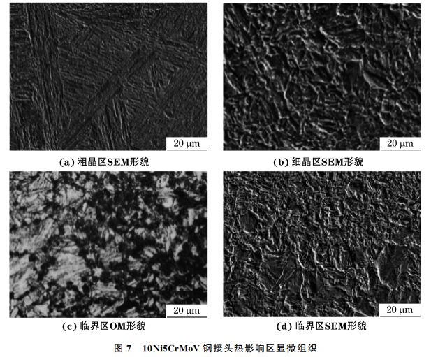 圖710Ni5CrMoV鋼接頭熱影響區顯微組織 圖710Ni5CrMoV鋼接頭熱影響區顯微組織