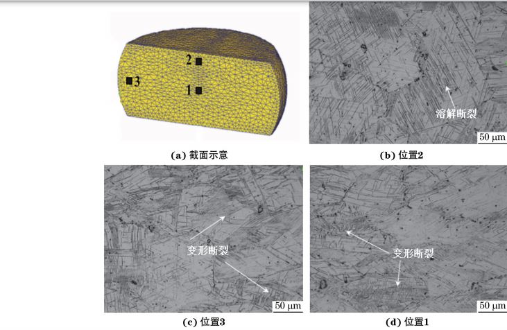 在980 ℃、應變速率為0.010s-1下壓縮至應變量為30%后 在980 ℃、應變速率為0.010s-1下壓縮至應變量為30%后