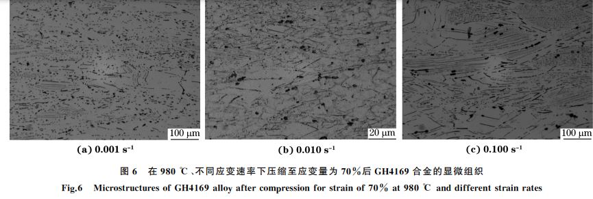 圖6 在980 ℃、不同應變速率下壓縮至應變量為70% 圖6 在980 ℃、不同應變速率下壓縮至應變量為70%