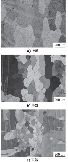 圖3 接頭不同部位焊縫顯微組織形貌 圖3 接頭不同部位焊縫顯微組織形貌