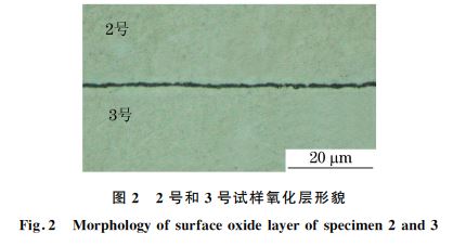 圖2 2號和3號試樣氧化層形貌 圖2 2號和3號試樣氧化層形貌