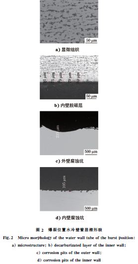 圖2 爆裂位置水冷壁管顯微形貌 圖2 爆裂位置水冷壁管顯微形貌