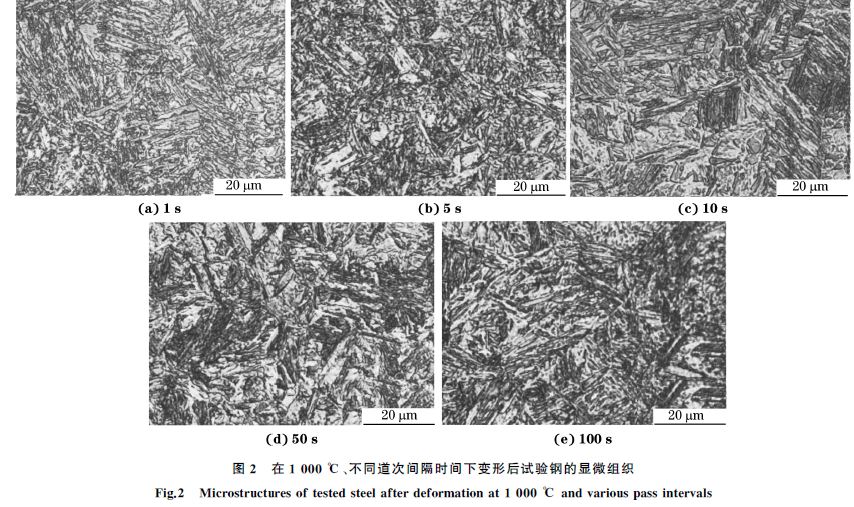 圖2 在1000 ℃、不同道次間隔時間下變形后試驗鋼的顯微組織 圖2 在1000 ℃、不同道次間隔時間下變形后試驗鋼的顯微組織